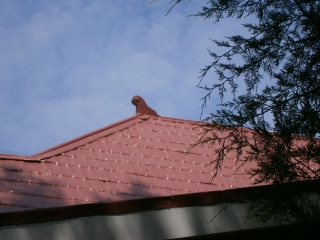 Ornament coated by Roof Menders, Inc