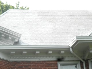 Closeup of shingles with primer onlyl